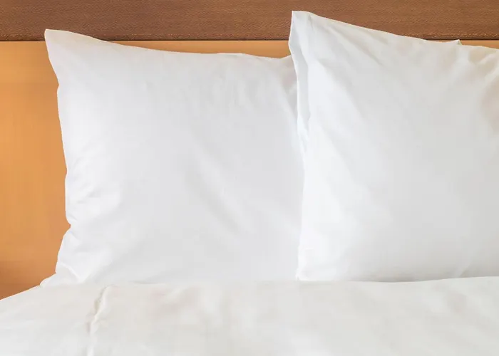 Crowne Plaza Frankfurt Congress By Ihg 4* Франкфурт-на-Майне
