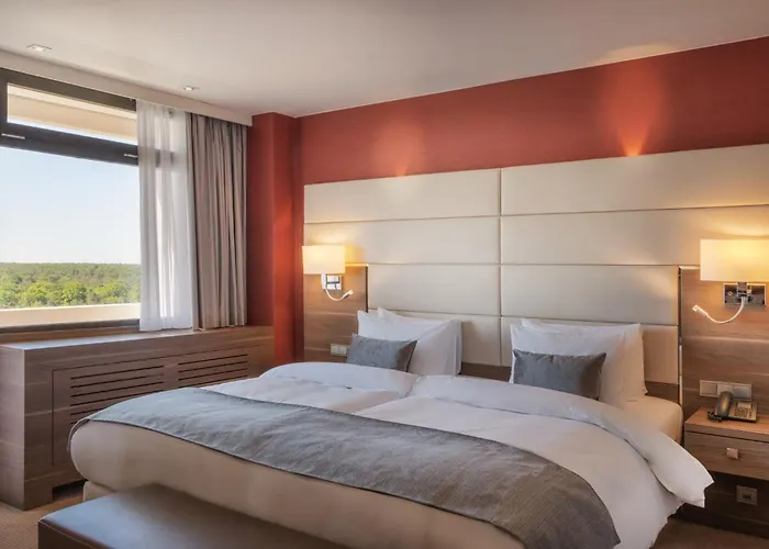 Отель Crowne Plaza Frankfurt Congress By Ihg